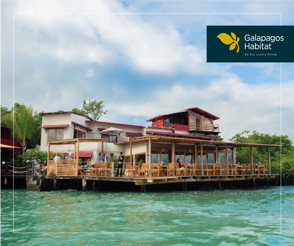 A comfortable way to explore the Galapagos Islands is on a 5 day 4 night stay at the Galapagos Habitat Hotel. Book now at: buff.ly/2ZO6HNw
#gpshabitat #ecoluxurygroup #galapagos #luxuryhotel #luxurytravel #comfortabletravel #vacation