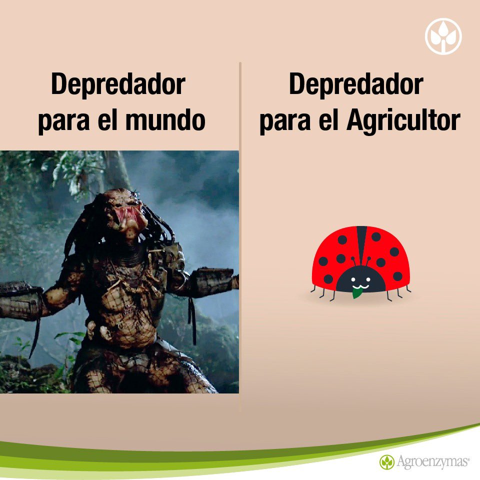 AgroenzymasCorp's tweet photo. Nuestro mundo es diferente.
#Agroenzymas #Agrohumor #TuHistoriaDeÉxito https://t.co/gSbymVPXzf