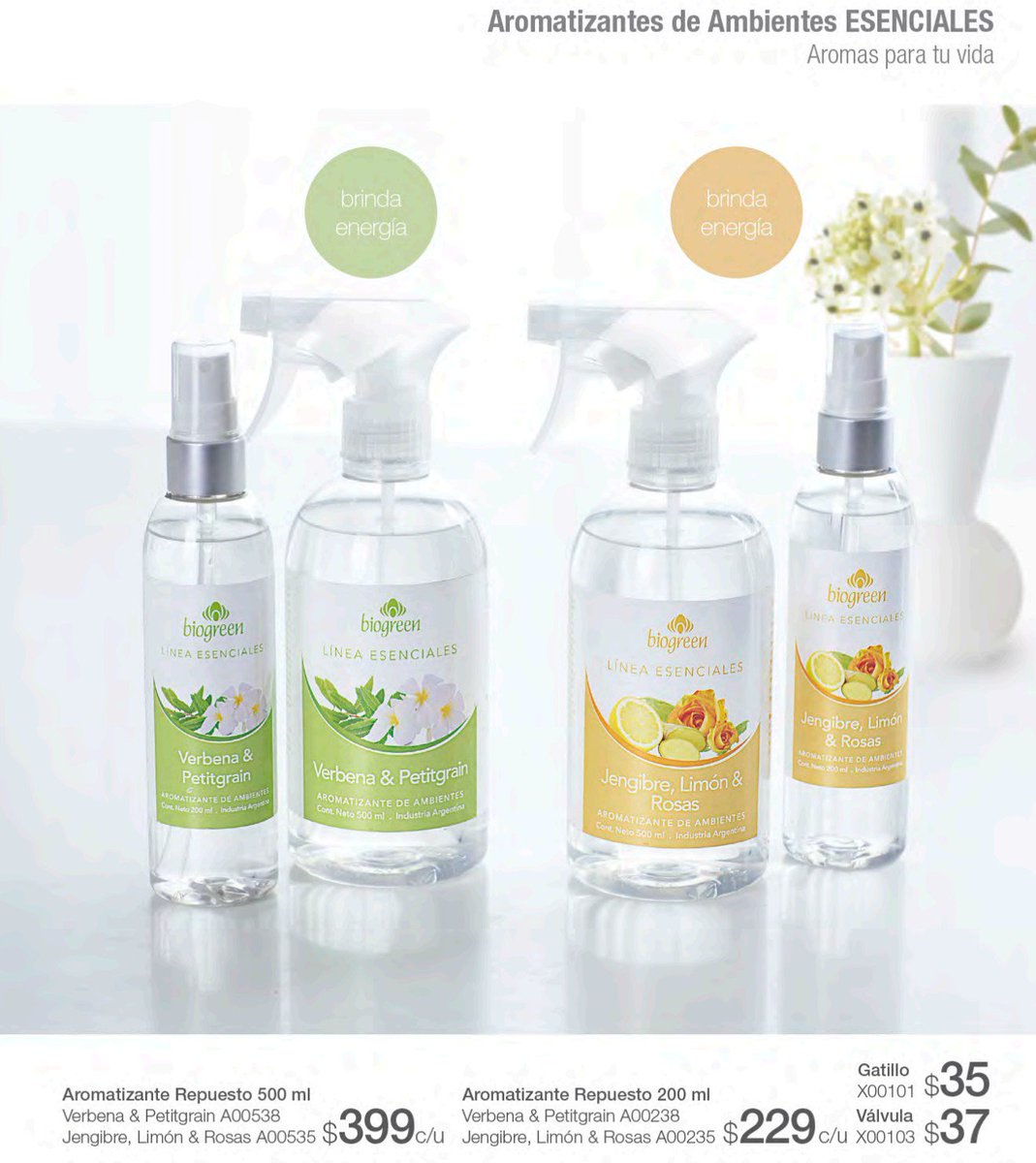 BiogreenL's tweet image. 