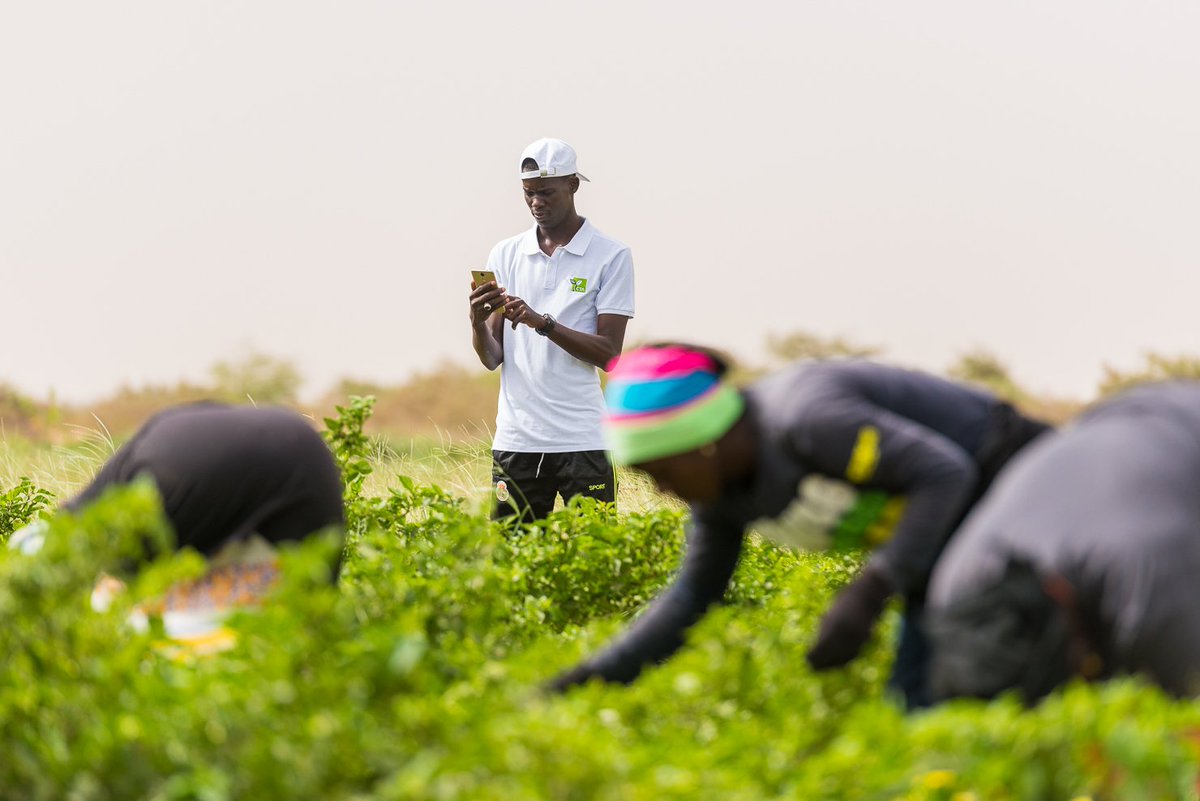 CTAflash's tweet photo. Harnessing data-driven services is pivotal to propel agricultural innovations & enhance food systems sustainability! But more needs to be done on #opendata ownership, control & access.
#Data4Ag
Check the latest blog by @chrisaddison @dmuyiramye @FZampati➡️https://t.co/N7bVYE1U5y https://t.co/wYY6crctlY