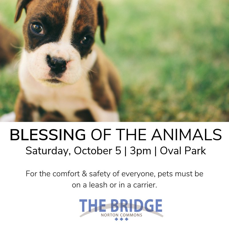thebridgeatNC's tweet photo. Mark your pet’s calendar! 
We’re going to bless them &amp; then spoil them with 💙. 

🔷🔷🔷

@ChristChurchKY @NortonCommonsKy #thebridgenc #nortoncommonslife #churchinnortoncommons https://t.co/SqpXXZ4cgH
