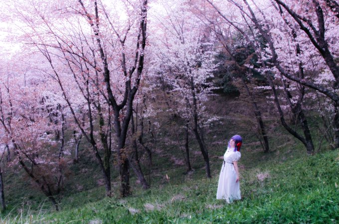 Twitterのコスプレ画像7