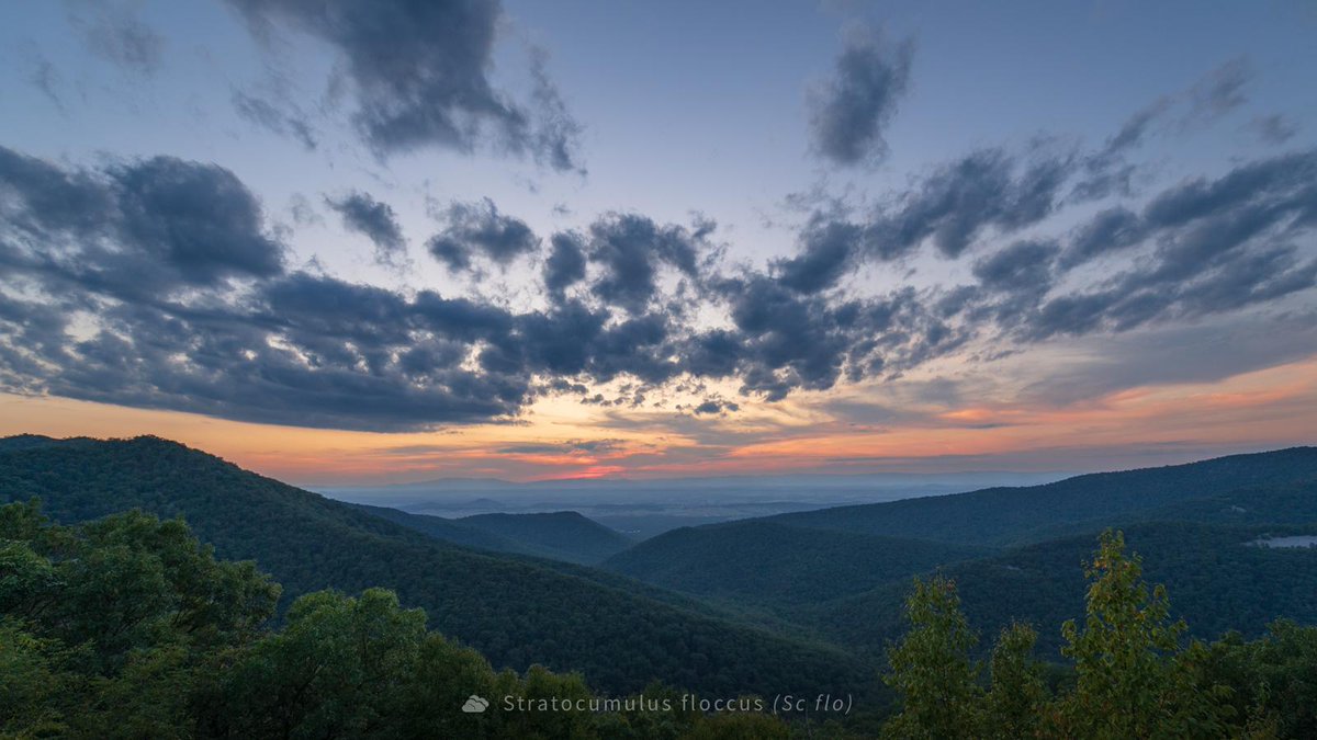 WhatsThisCloud ⛅️ (@whatsthiscloud) on Twitter photo Sunset from Shenandoah NP yesterday evening, showing off a fine example of 'stratocumulus floccus' clouds. 🌅🔥
#StormHour #EarthAndClouds #vawx #LOVEVA
<a href="/ThePhotoHour/">#ThePhotoHour</a> <a href="/StormHour/">#StormHour</a> <a href="/EarthandClouds/">Earth and Clouds</a> ⛅️ Sunset from Shenandoah NP yesterday evening, showing off a fine example of 'stratocumulus floccus' clouds. 🌅🔥
#StormHour #EarthAndClouds #vawx #LOVEVA
<a href="/ThePhotoHour/">#ThePhotoHour</a> <a href="/StormHour/">#StormHour</a> <a href="/EarthandClouds/">Earth and Clouds</a> ⛅️