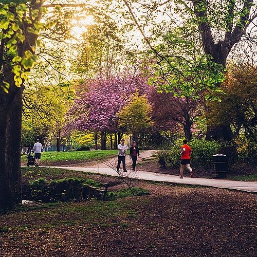shghhhu's tweet photo. A unique and exciting route anyone would love to run! 😀🎉🏆🏃‍♀️🏃

Taking place at Endcliffe park, Sheffield’s Favourite Park, the Party Run takes you on an exhilarating journey through beautiful green space 🌈

#partyrun #Sheffield #sheffieldhallam #sheffielduni #hallamactive https://t.co/qxh0PLz5vX