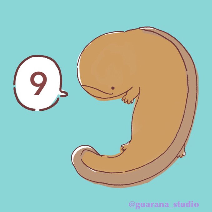 ガラナのtwitterイラスト検索結果 古い順