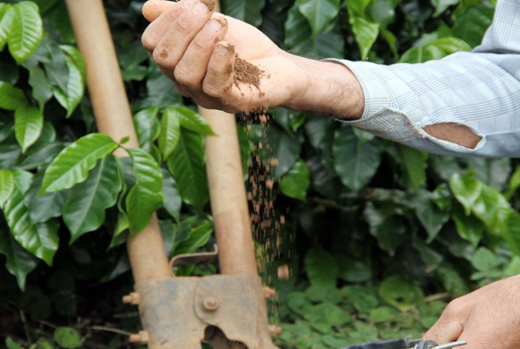 NESCAFE's tweet photo. NESCAFÉ and soil health
As part of our NESCAFÉ Better Farming practices, we pay special attention to soil, and in particular soil health🌱. They play a vital role in the production of food and ensuring food security in the long-term👆.
#GrownRespectfully https://t.co/dF09bsOqW2