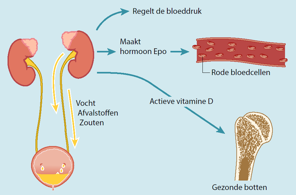 IsalaZiekenhuis's tweet photo. mProve-ziekenhuizen zoals Isala, nemen praatplaat over nierfalen in gebruik. Dat helpt bij de keuze voor behandeling. Handig voor patiënten met lage gezondheidsvaardigheden en iedereen die illustraties prettig vindt. #weekvandealfabetisering #mprove https://t.co/e5nEgV3whe