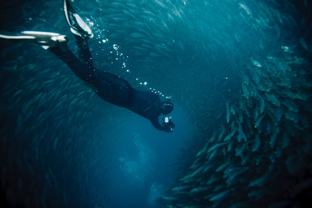 huntervision's tweet photo. "There are things known and there are things unknown, and in between are the doors of perception." - Aldous Huxley. Head https://t.co/2WJxRppbwa to get $1,000 off your next adventure. Book a free consult today! #eyes #clearvision #seemore #freedomofsight #huntervision #explore https://t.co/HTeMiS5hDu