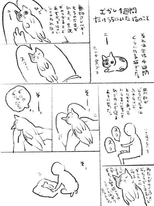 秀良子 Hidepochico さんのマンガ一覧 ツイコミ 仮 秀良子 Hidepochico さんのマンガ一覧 ツイコミ 仮