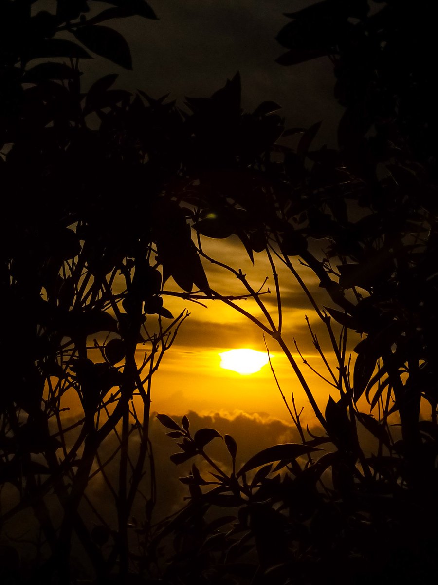 cerro_oficial's tweet photo. Bello atardecer, desde Parque Natural Cerro Verde.... #nature #paisajes #cerroverde #istu #atardecer https://t.co/37f53NZTY6