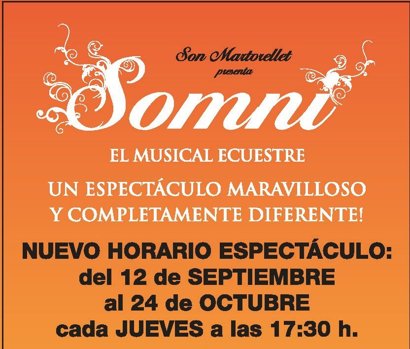 sonmartorellet's tweet photo. This #Tuesday 10th of #September , last tuesday of the season #Somni at 20:30h.

#Thursday the 12th of #September we begin with #Autumn Edition of #Somni at 17:30h.

#Menorca #ComeVisit #mustsee #horselover #Horses #DancingWiththeStars #livemusic #nightout #SonMartorellet #love https://t.co/4hvYdc1GBw