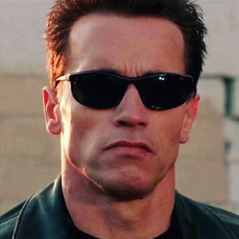 terminator persol sunglasses