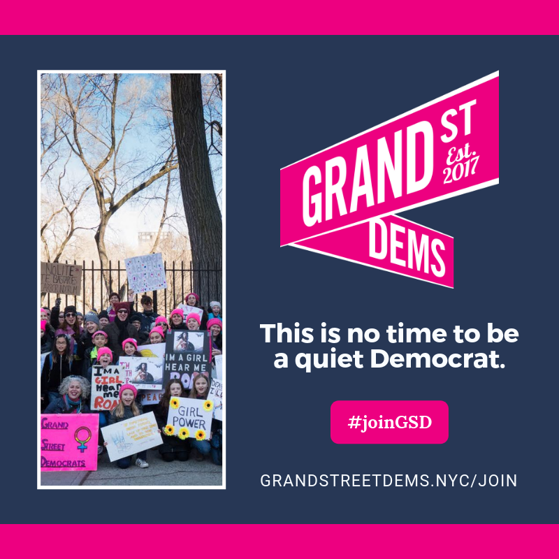 GrandStreetDems's tweet photo. This is no time to be a quiet Democrat. #joinGSD - https://t.co/qoKm6XYdg3 https://t.co/4SXafdjO01