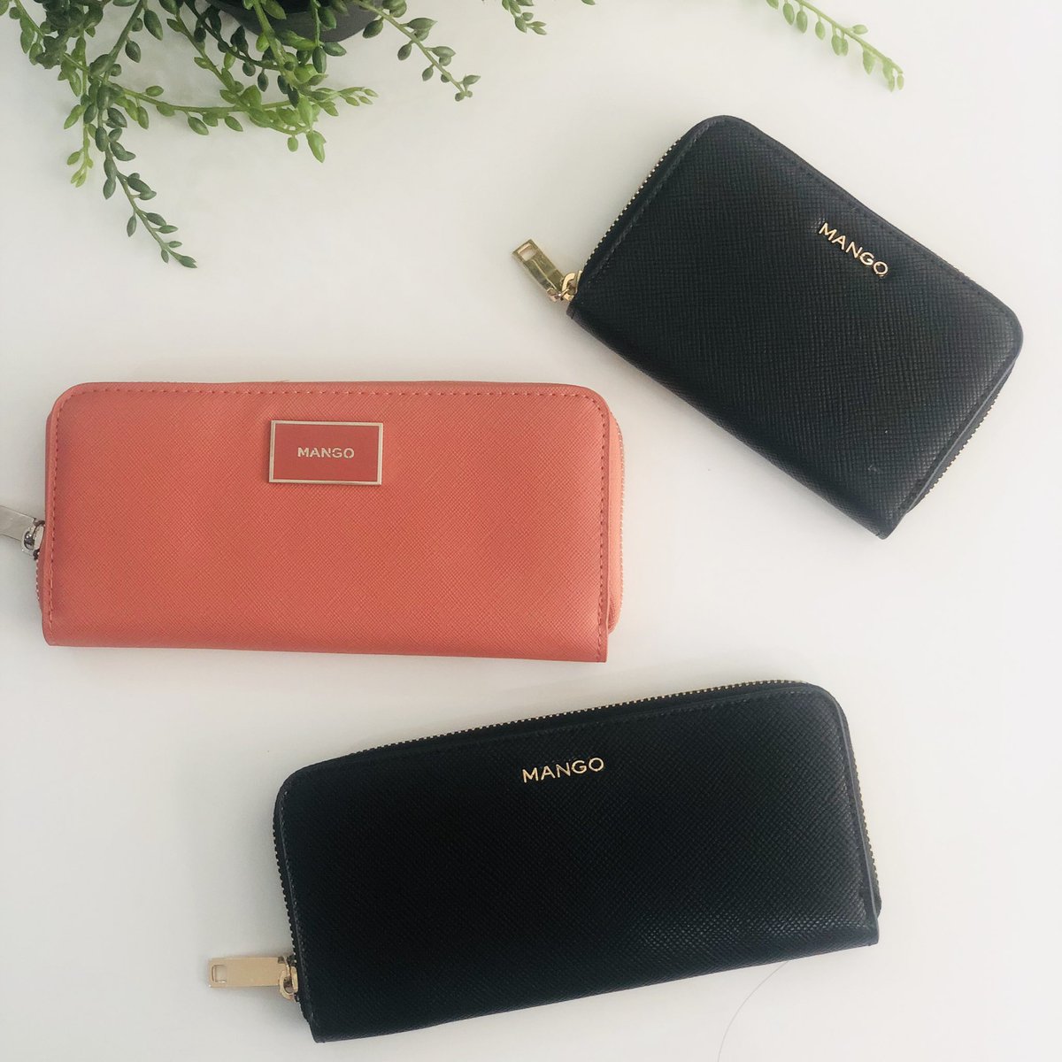 Oahu_MV's tweet photo. New Wallets Available in Store
Visit now https://t.co/zaMQhlTn3V