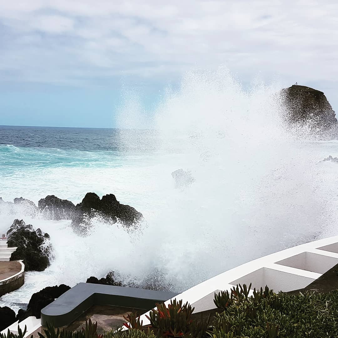 MyTrendyTrail's tweet image. Walking on the wild side while on Madeira. 
Heading over there? Your guide awaits you here: mytrendytrail.com 
I highly recommend this stunning island!
#Madeira #Portugal #travelguide #blogger