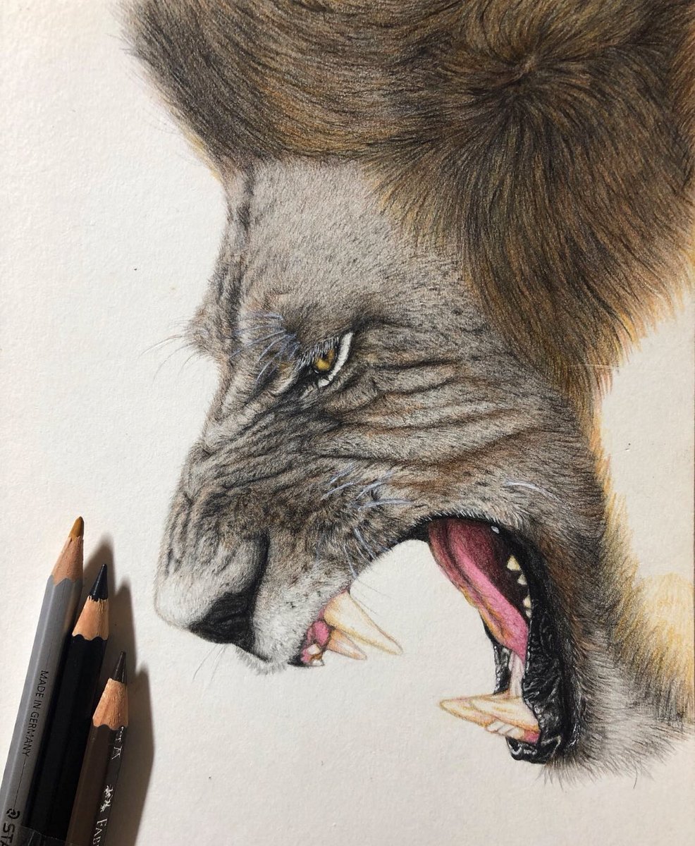 ellebel8511's tweet photo. 추석 전까지 완성하기 목표.
#lion #coloredpencil #sketching #drawing #art #artwork #hobby #lionking #artist #ilovesketching #색연필화 #스케치 #드로잉 #사자 #그림 #취미 #화가 #iphonex
타인에게 상처 주는 사람들은
어떤 식으로든 꼭 벌을 받는다는 걸 명심하길.
인생은 부메랑.💫 https://t.co/Ud73zttMmM