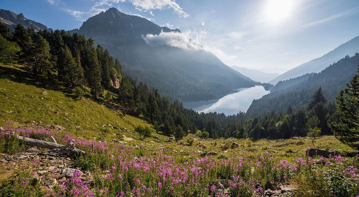smartwatermag's tweet photo. Have you ever seen Lake San Mauricio, in #Spain? ⛰️

If not, check our latest #MagicalDestinations post and find out why it is an essential visit ⤵️ https://t.co/CPd4mhiof2