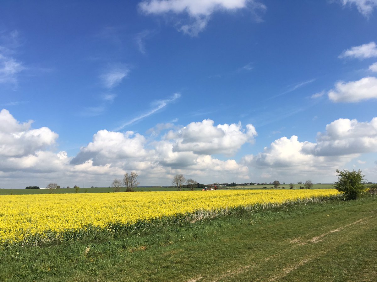 Rise_Learning's tweet image. If you’d still like to join our FREE Mindfulness at Work taster this Friday morning at Jordan’s Mill do get in touch - just a couple of spaces left!