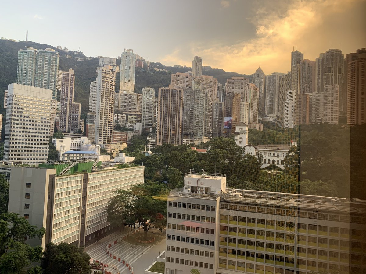 René Michau tweet media