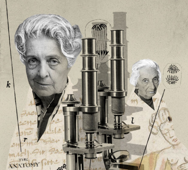 #CuentaCiencia📖🔬 Rita y Eugenia eran dos niñas que soñaban con dedicar su vida a la #ciencia.➡ bit.ly/2kClpn8
💡✍ Un relato de <a href="/PabloPCoronel/">Pablo Pineño</a> para <a href="/Principia_io/">Principia</a>