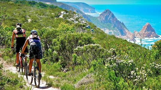 #SANATIONALPARKSWEEK #LiveYourWild #AdventureIsInOurNature Adventure Monday with <a href="/Tsitsikamma/">TsitsikammCanopyTour</a> mtb in Harkerville