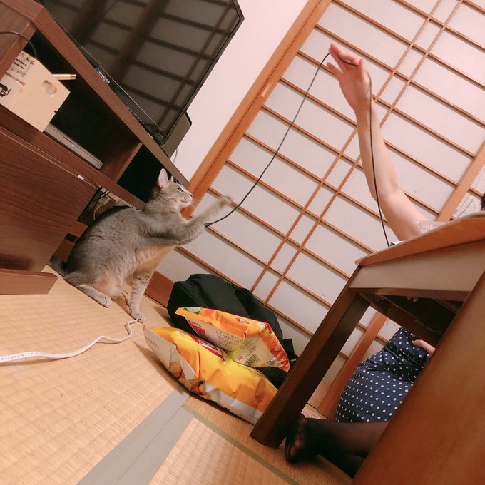 コスプレイヤーかいんのTwitter画像25