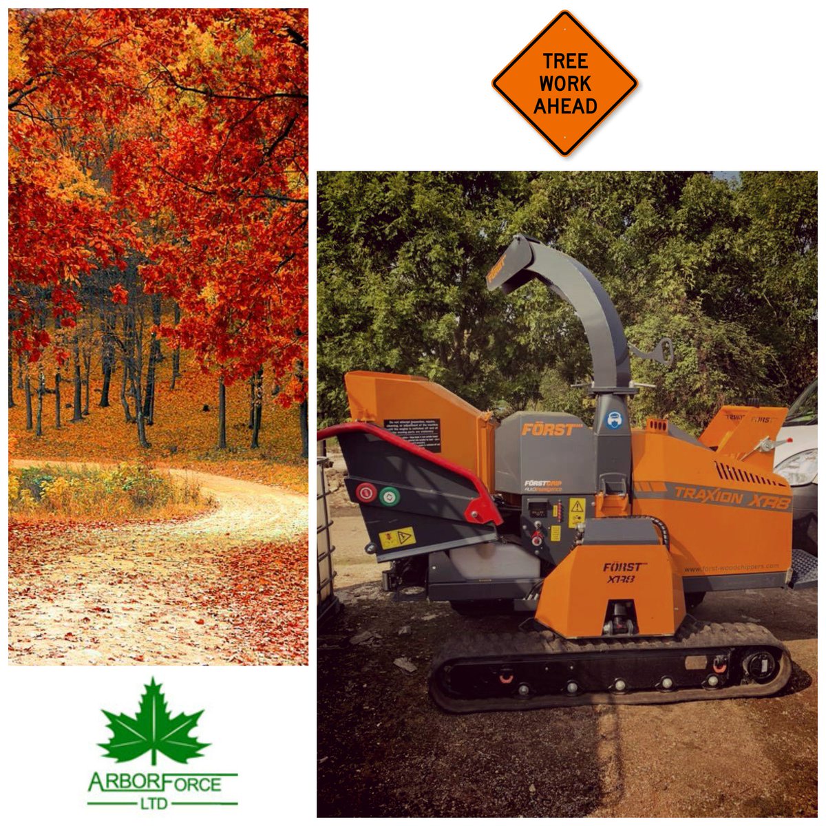 Tree works by Arborforce

🍃 Just one of the many services on offer. 🍃

arborforce.com/our-services/ #arborforce