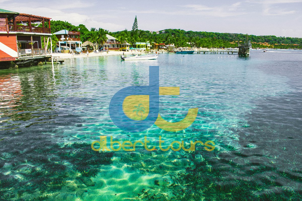 DilbertTours's tweet photo. @TravelFarther Roatan, Honduras🇭🇳🌴
#DilbertTours https://t.co/vMcMlVfU9h