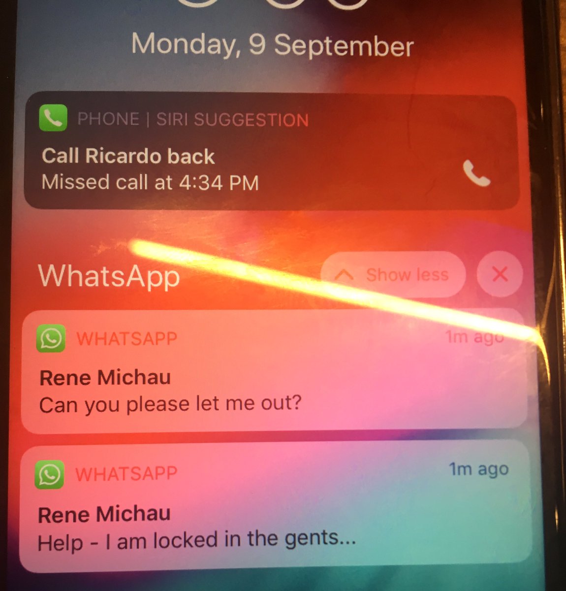 Danielle Szetho tweet media