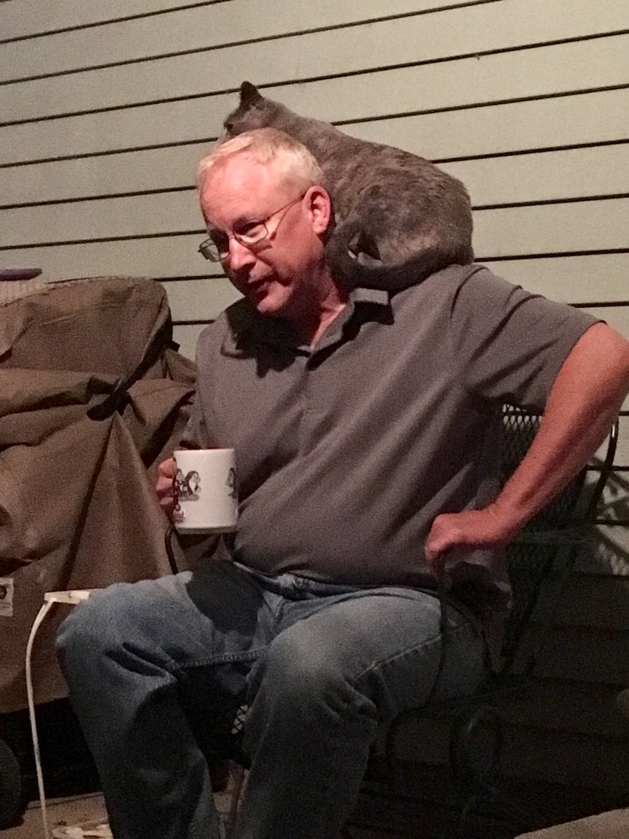 CrittersofH's tweet photo. Sweetie Pie says: The male human does not understand! He can consume coffee elsewhere! He is in my chair, therefore he is my perch! #CatsOfTwitter #coffee #cats @DinahLewisTayl1 #outdoorcats #catshenanigans #meow #parrotkitty https://t.co/QDbJolBzDj
