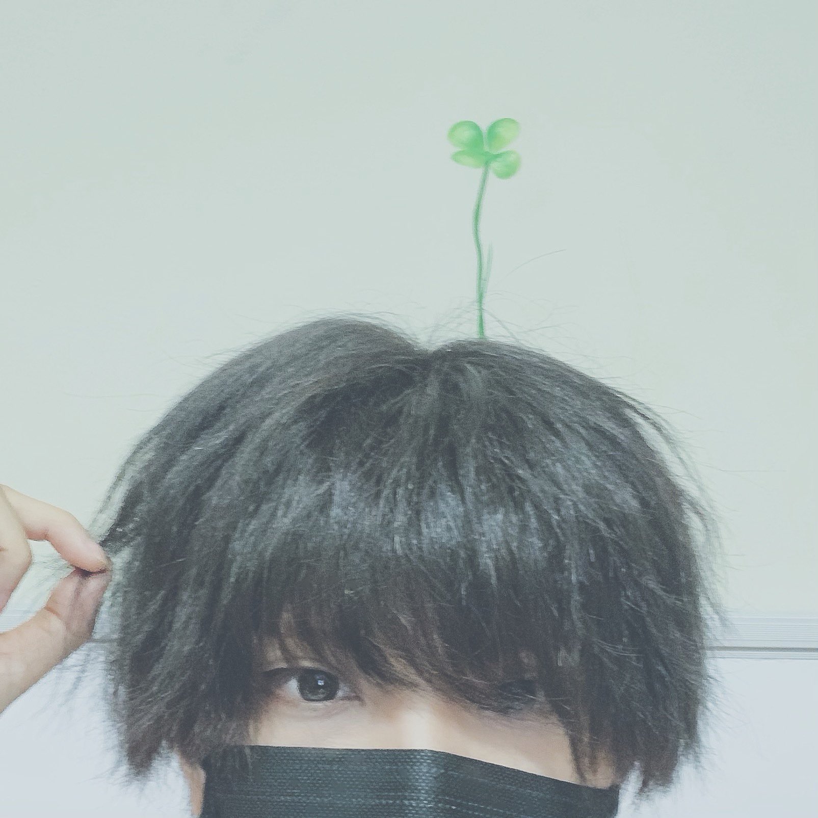 音羽-otoha- on X: 