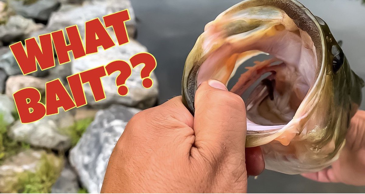 New episode alert 🚨 🚨🚨

youtu.be/rUU9W4XXDqc