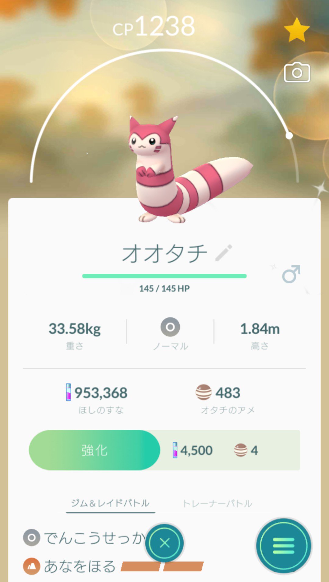 色違いオオタチ Twitter Search Twitter