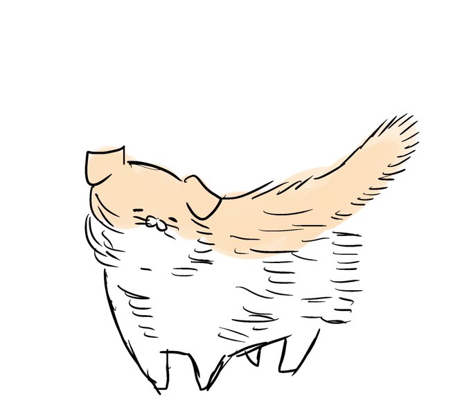 強風のtwitterイラスト検索結果 古い順