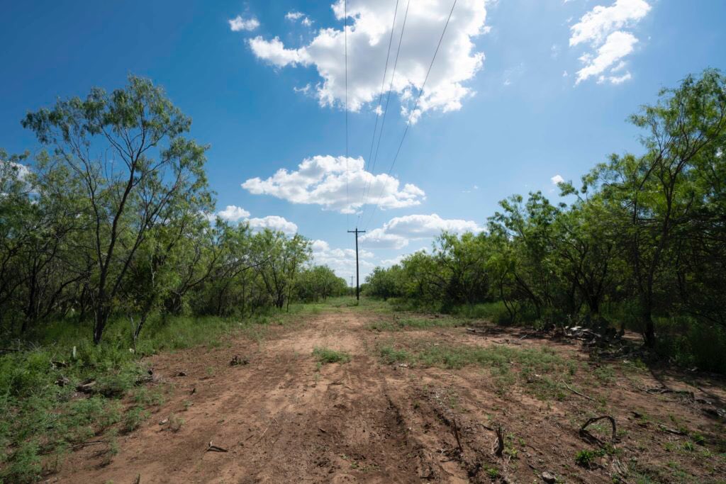 New Listing! 50 +/- acres on Ralph Coughran Rd. Provides for an excellent hunting property or homesite with a wet weather creek running through it. 

#buylandlivewell #southtexasranches #huntingproperty #brushcountry #landsofamerica #landsoftexas #betterouthere