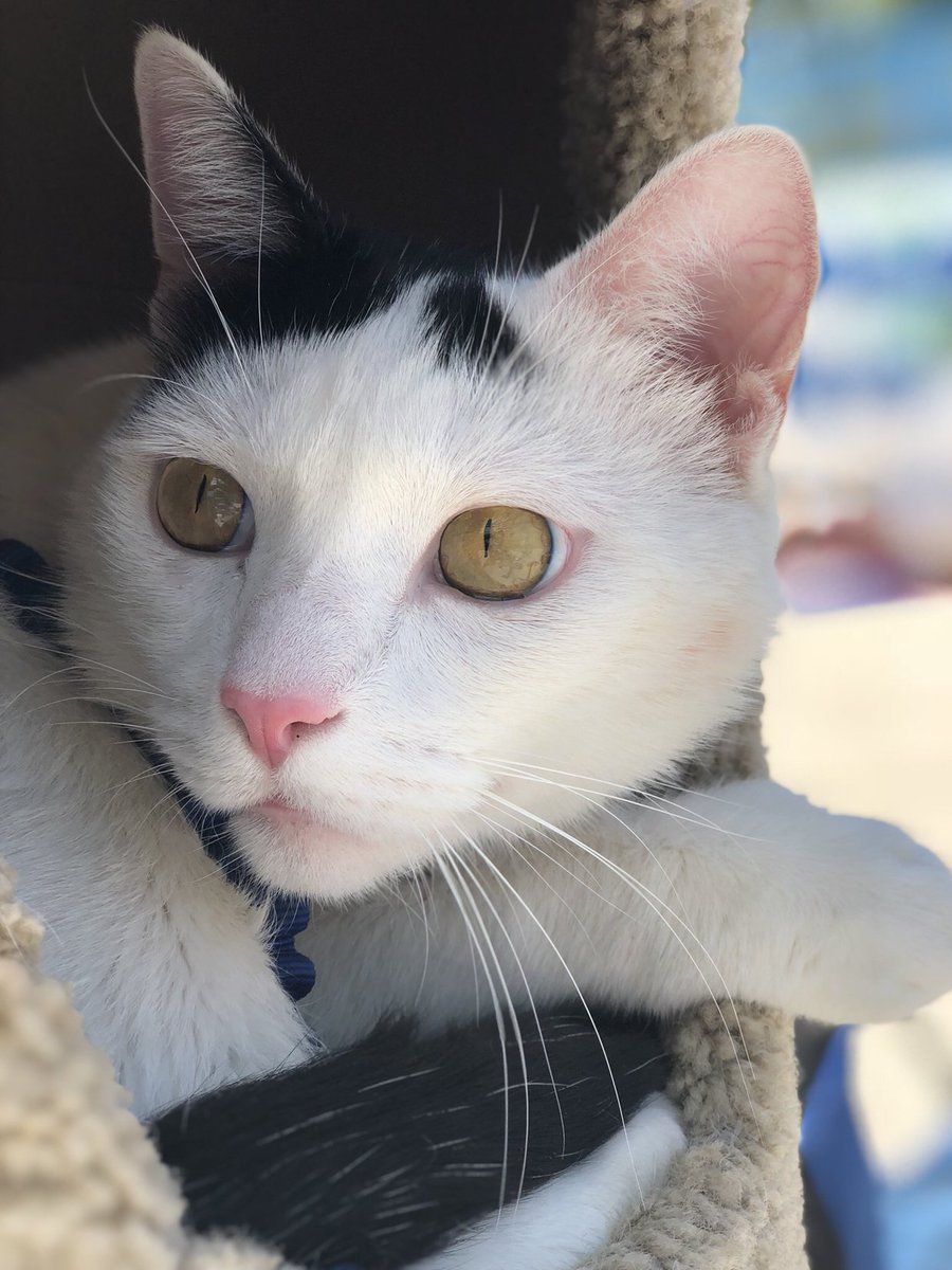 Hiding from Monday like... 🙈