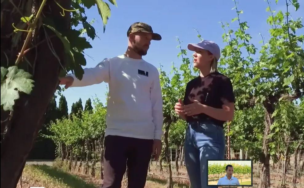 AgWest Farm Credit (@agwestfc) on Twitter photo He was a pro snowboarder with a college degree in rec & tourism; she majored in public health. Now this 20-something couple turns out award-winning <a href="/UpsidedownWine/">Upsidedown Wine</a>. Let them tell you: bddy.me/2UJAEIw
& read more in our summer 19 Yields magazine! bddy.me/2UHR18F He was a pro snowboarder with a college degree in rec & tourism; she majored in public health. Now this 20-something couple turns out award-winning <a href="/UpsidedownWine/">Upsidedown Wine</a>. Let them tell you: bddy.me/2UJAEIw
& read more in our summer 19 Yields magazine! bddy.me/2UHR18F
