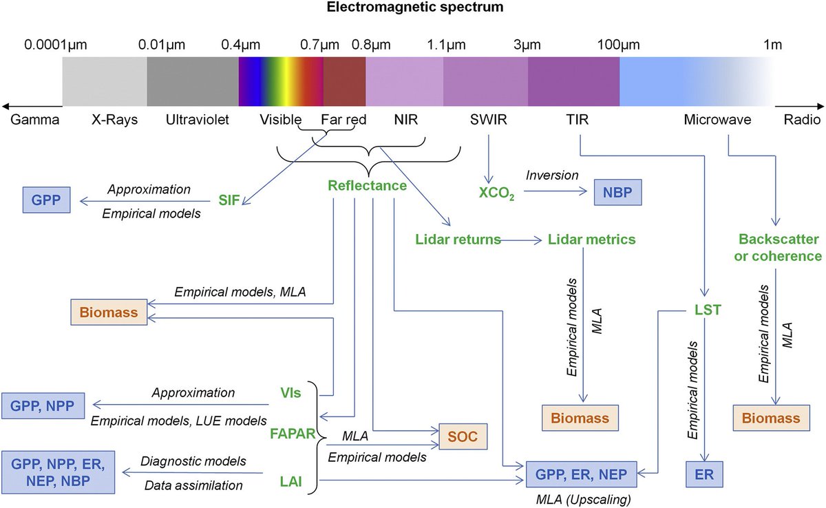 GlobalEcolUNH's tweet photo. Remote sensing of the terrestrial carbon cycle: A review of advances over 50 years. Our review is now available in Remote Sensing of Environment. This 37-page article is a comprehensive &amp; critical review of advances in remote sensing of C fluxes &amp; stocks. https://t.co/jmQHGvWKoJ https://t.co/aSdKaQXo94