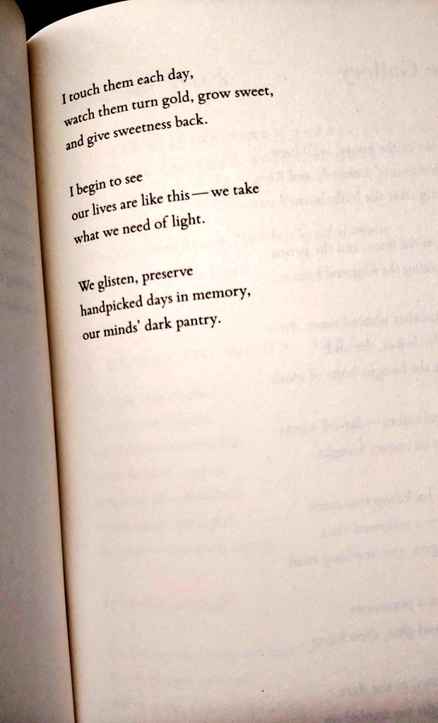 Day 9 (and probably day 10 as well) Monument by Natasha Trethewey 

 '...we take what we need of light'.

#SeptWomenPoets
#NatashaTrethewey
#Poetry
#Books
