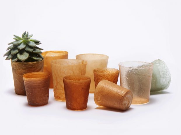 ambienteeuropeo's tweet image. Ideas brillantes! 💡💡💡
#Shellworks convierte los restos de cáscaras de langosta en #bioplásticos biodegradables ecoinventos.com/shellworks/ vía @ecoinventos