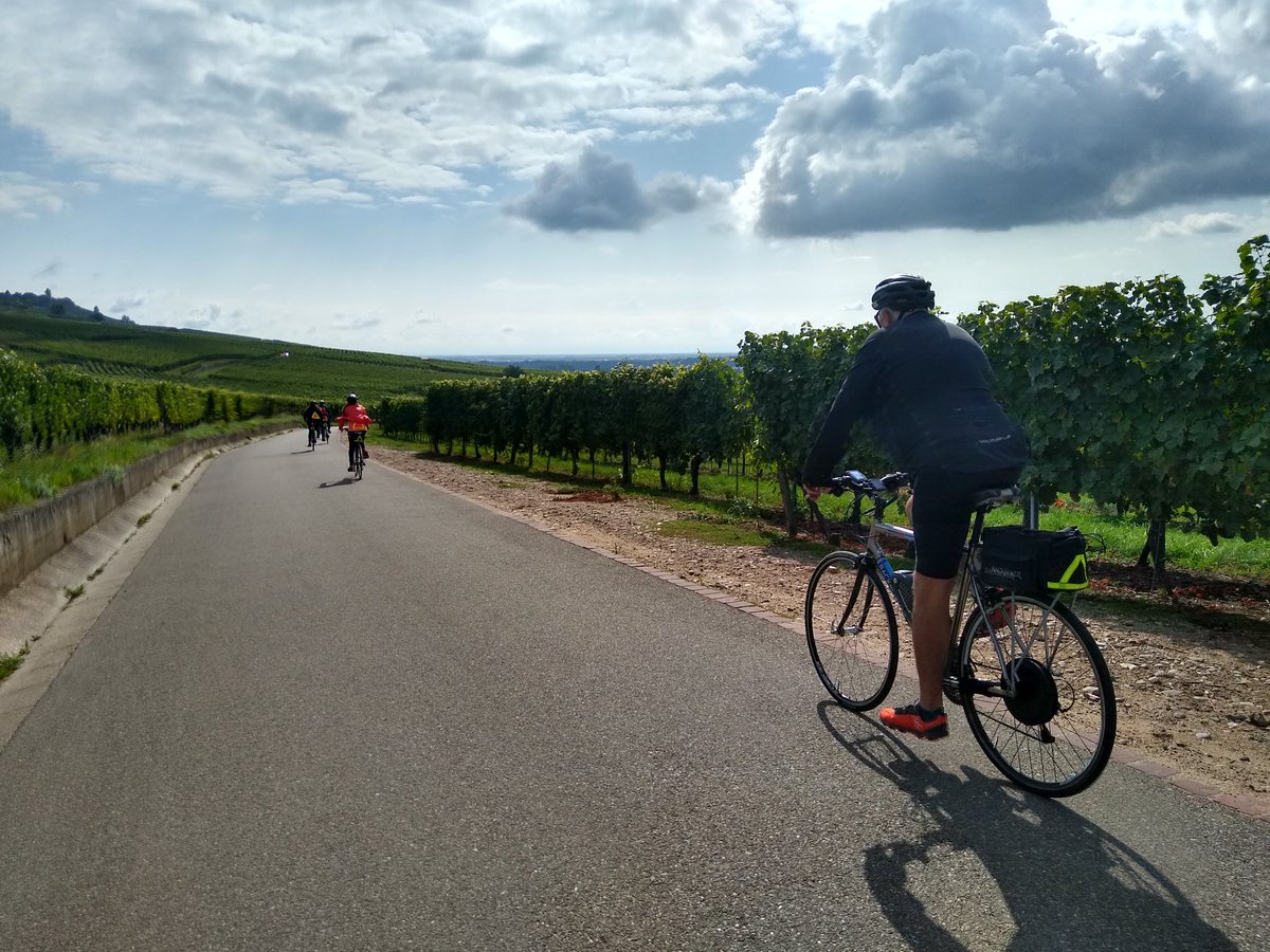 geekgirl_jt's tweet photo. Beautiful day in the Alsace for riding. The Vosges mountains, the gorgeous vineyards and the rolling hills. Days like this I love my job! 🚴♀️😁 #activeTravel #cycling #tripLeader #Alsace https://t.co/Xdv8yod6p4