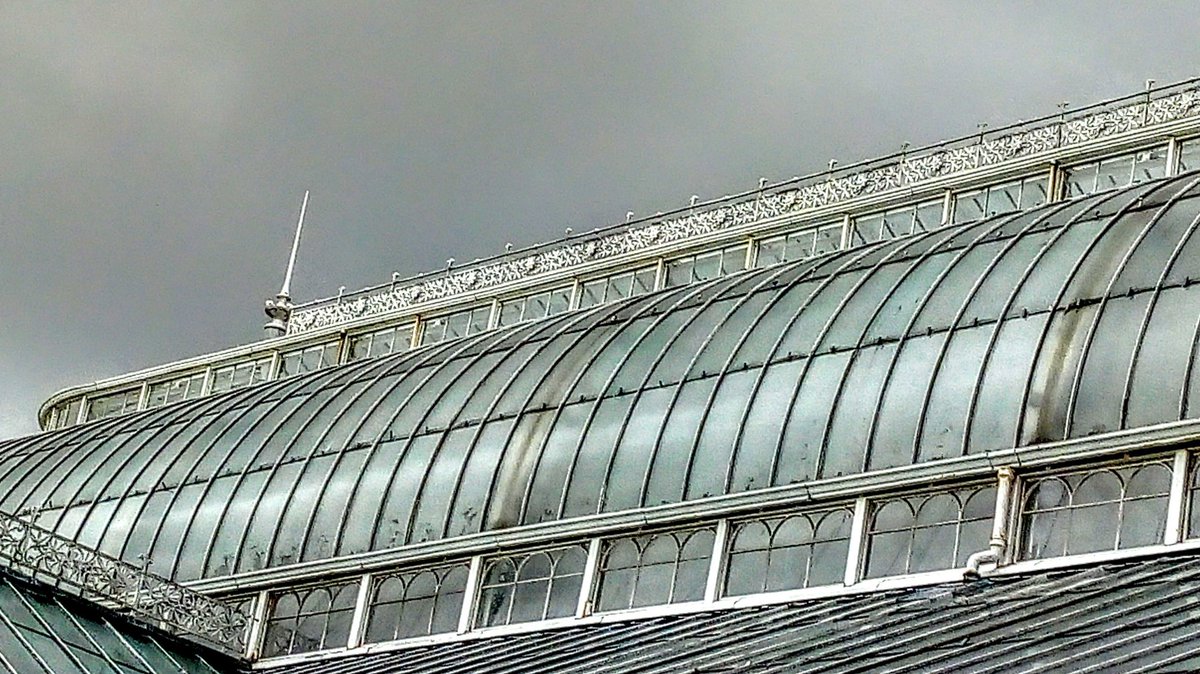 SaveTWG's tweet photo. 🍂Autumn colours tinging the overgrown weeds &amp; vegetation around the Winter Gardens. Hard to believe this is the 9th month of closure &amp; not a word on reopening plans🍂😢 https://t.co/pJ7TINYXPT