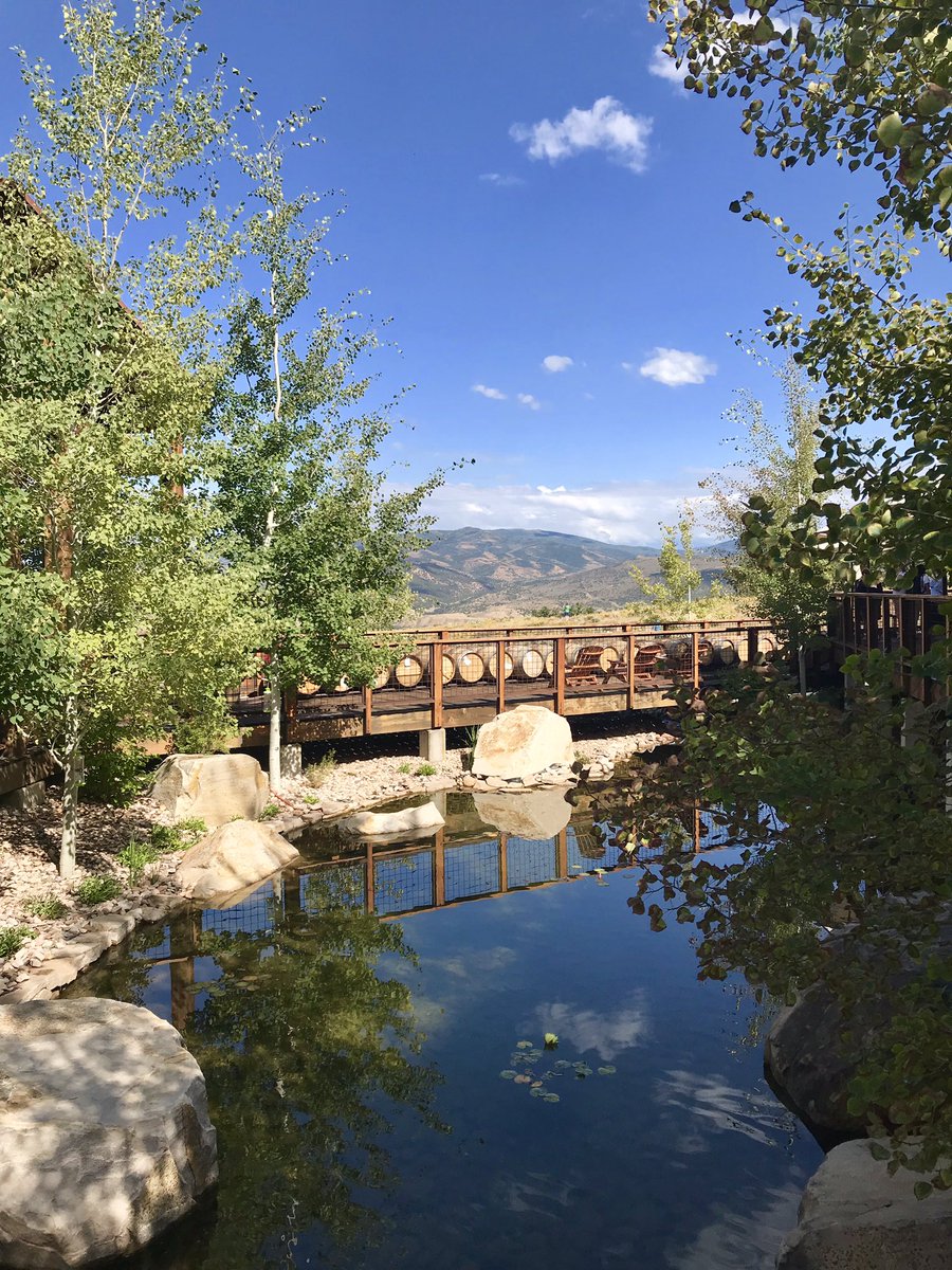 ShariLacyART's tweet photo. @PCski you are stunning! Thx for the painting inspiration this week and celebration of our 25th. Now, to explore some more🙌 @drinkhighwest https://t.co/McmW1aQdAd