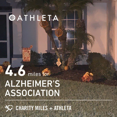 DizRuns's tweet photo. #seenonmyrun 
It’s way too early for the fall decor in Florida. You know, since it doesn’t begin to feel like fall until at least Christmas...
-
-
-
#runnersrepost #runner #runnerslane #trailrunner #trailrunningdog #movemorefitness #iloverunningsomuch #d… https://t.co/Q6nNWLn5MQ https://t.co/BJiaU6u6ns