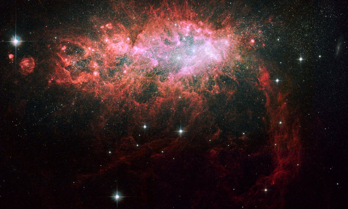 astronomia2016's tweet photo. IC 342/Maffei – сосед��яя скрытая галактическая
группа https://t.co/ihBtd80vBW 
#galaxy #Maffei1 #Maffei2 #галактика #IC342 #Dwingeloo1 #space #science #астрономия #астрофизика #наука #космос #звезда #star #Dwingeloo2 #Caldwell5 #NGC1560 #IC2062 #NGC1569 #UGCA92 #Dwingeloo2 #КК35 https://t.co/jbLkJdfyAa