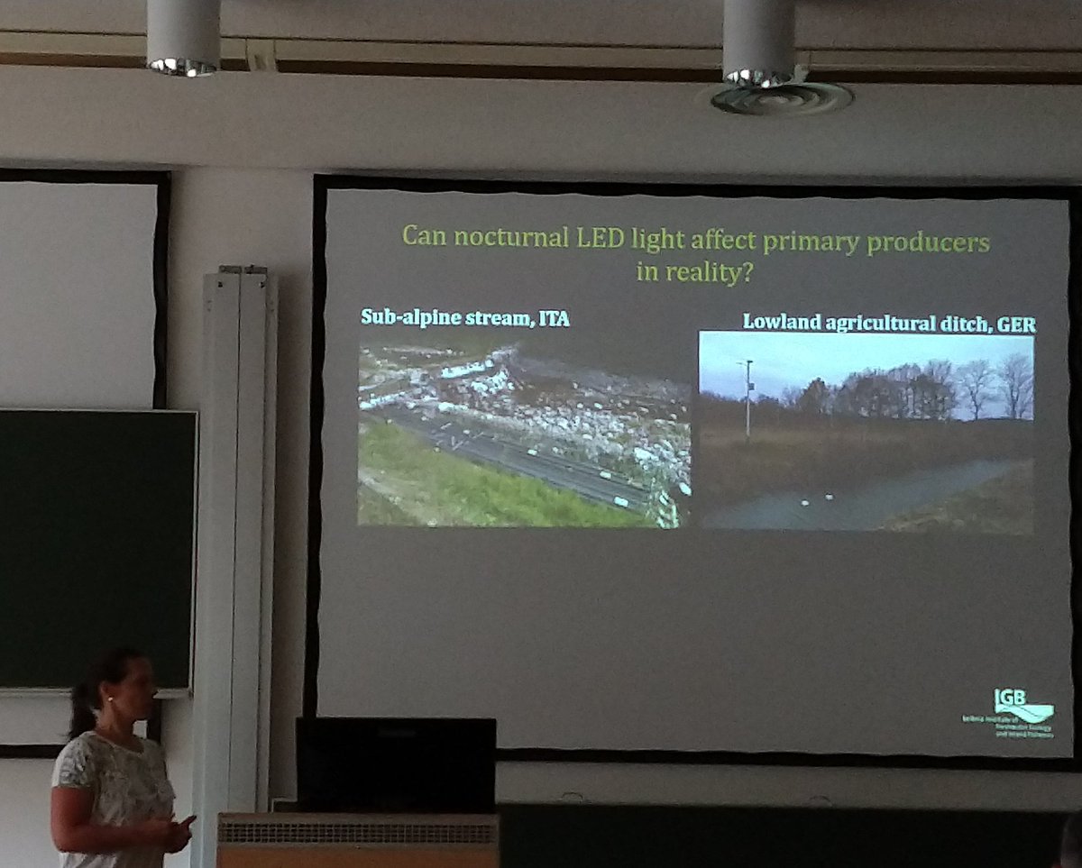 SMART_emjd's tweet photo. Artificial Light at Night #ALAN, in particularly LED lights, impacts on benthic primary producers in freshwaters. SMART alumnus Dr. Maja Grubisic @Maja_Grubisic presents results obtained through her doctoral studies within the #smartphd at #isrs2019 @ISRS2019 @BOKUvienna https://t.co/uYmyCLcxuO