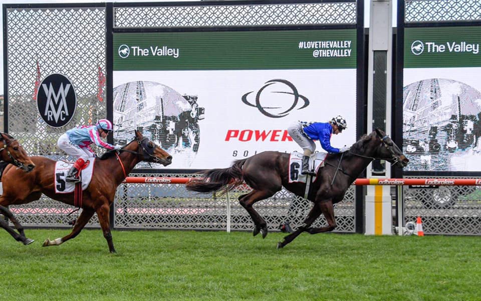 PowerfloSoluti1's tweet photo. Spring racing is here again and we are proud to be a race sponsor at MVRC. Congratulations to the connections of Kentucky Breeze who took out the POWERFLO SOLUTIONS HANDICAP on Saturday! A great day enjoyed by all! 🐎🥂 https://t.co/OiCkUwXRAL