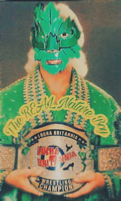 Triffidos🌲 tweet media