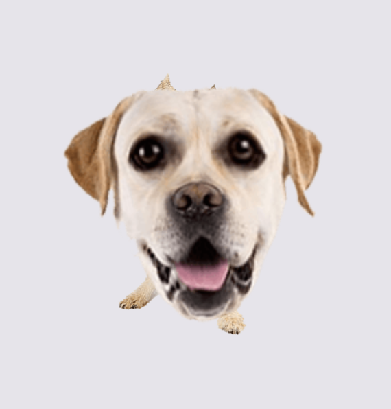 aahdrien's tweet image. hmmm

#creativedev