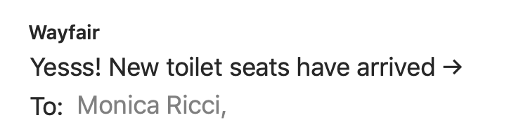 RemakingMonica's tweet image. Got an email from @Wayfair this morning. I wonder what Alexa has been telling them about me...

#DatBitch 
#MindYourOwnBusinessAlexa